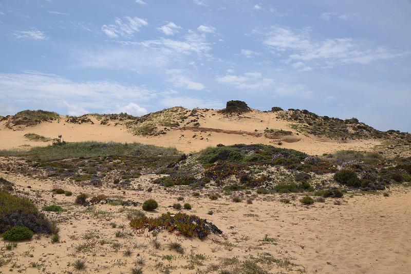 Datei:Düne bei Zambujeia do mar Atlantikküste Portugal WOertel.jpg