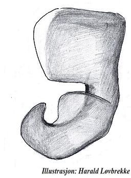 Datei:Erigonella hiemalis paracymbium HLovbrekke.jpg