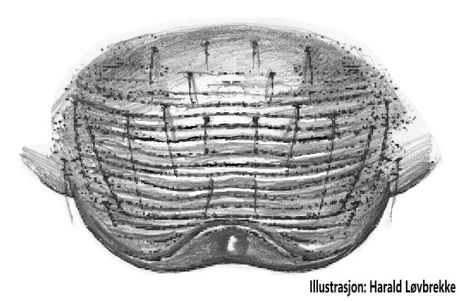 Datei:Erigone svenssoni epigyne HLovbrekke.jpg