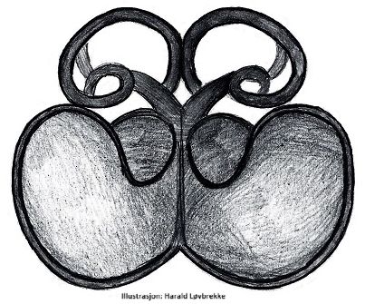 Datei:Neon reticulatus vulva do HLovbrekke.jpg