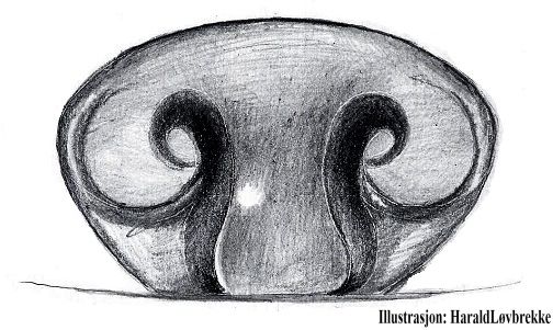 Datei:Hypsosinga pygmaea epigyn HLovbrekke.jpg