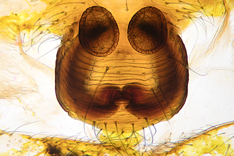 Datei:2021-07-19 10-57-40-Edit.jpg