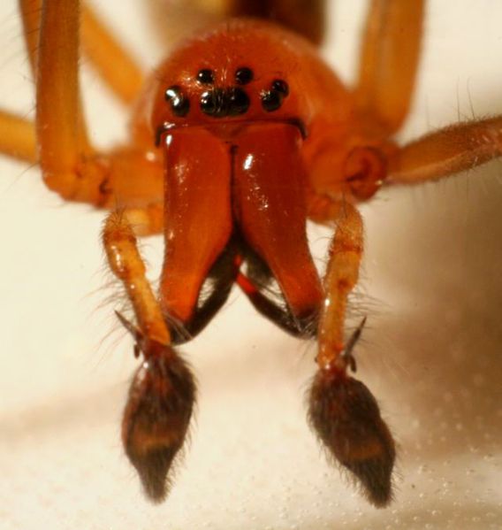 Datei:Erraticum 1.jpg