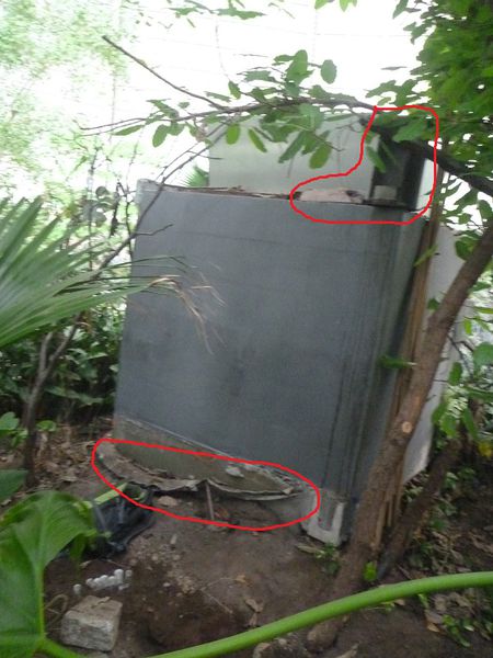 Datei:Scytodes-fusca Fundort-JN.jpg