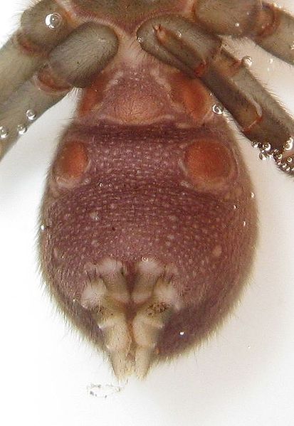 Datei:IMG 7915Ausschnit.jpg