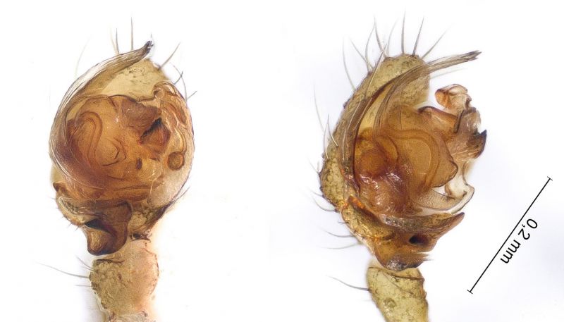 Datei:Notabilis See 3.jpg