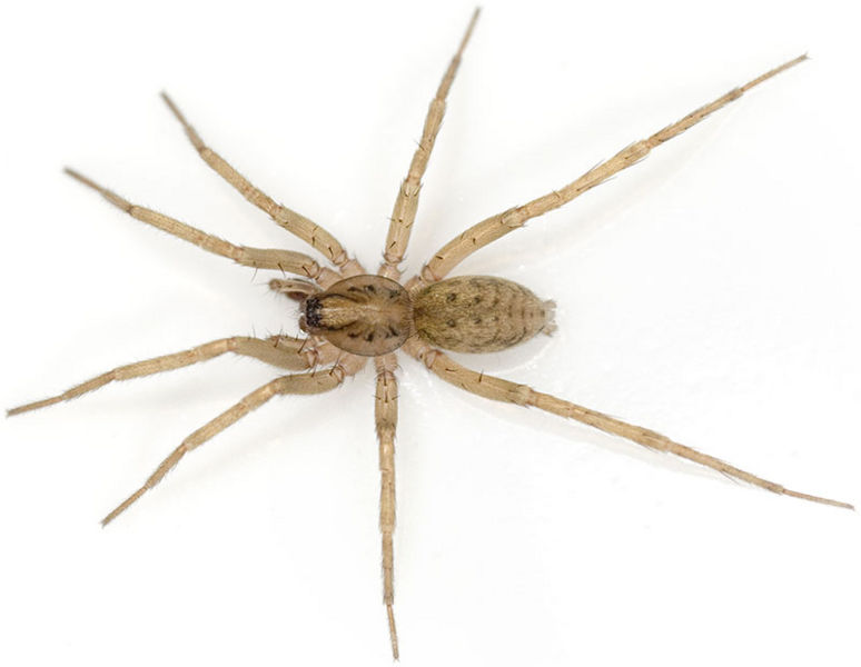 Datei:Proxima Dammbachsgrund 08-09 02.jpg