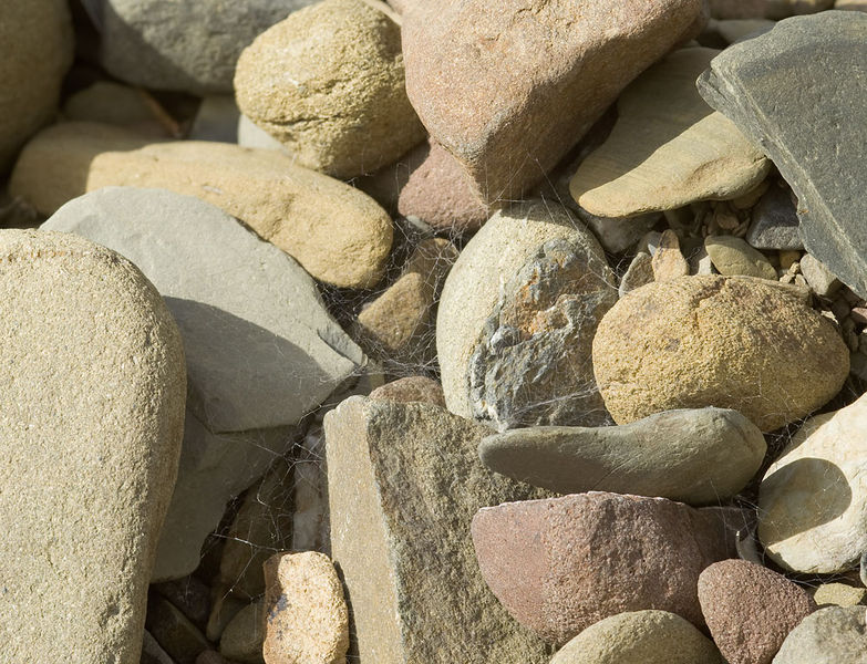 Datei:Nurscia-sequerai Portugal-Bach 12-04 03-Netz.jpg