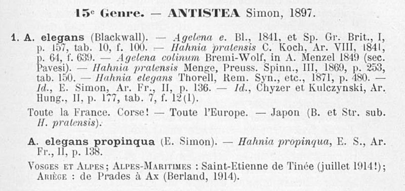 Datei:AntisteaElegansPropinqua1937Text2.jpg