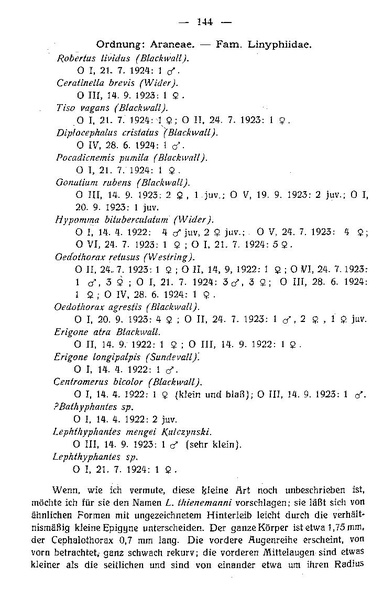 Datei:Schenkel1925MittGeogrGesLuebeck.pdf