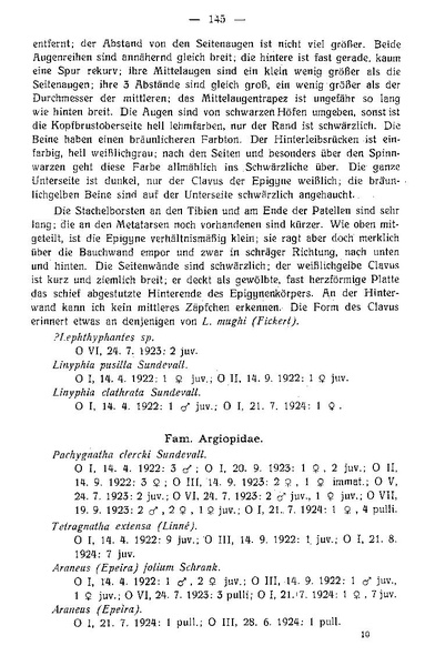 Datei:Schenkel1925MittGeogrGesLuebeck.pdf