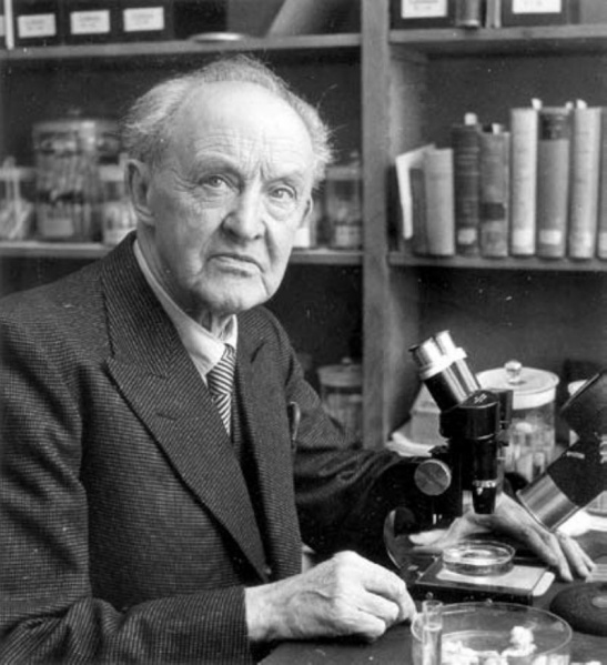 Datei:Herman wiehle-1960.jpg