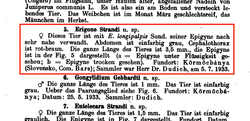 Datei:Erigone Strandi Beschreibung.png