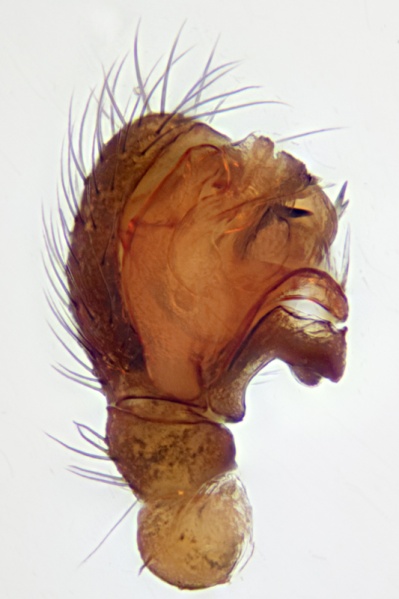 Datei:20191118-2019-11-18-11.36.32 ZS PMax-Bearbeitet.jpg