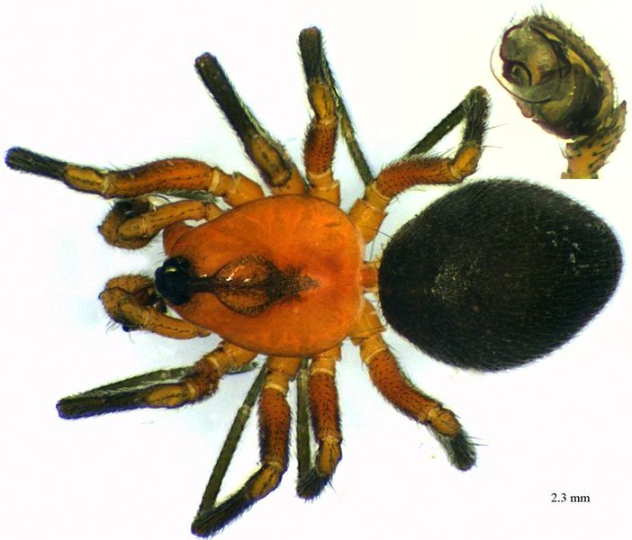 Datei:MIC100523026crop 2.jpg