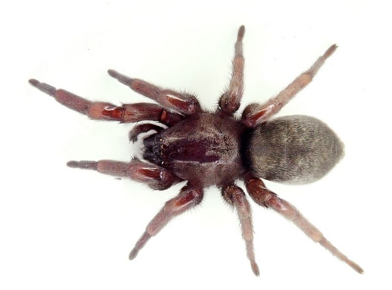 Datei:P4120766 3.jpg