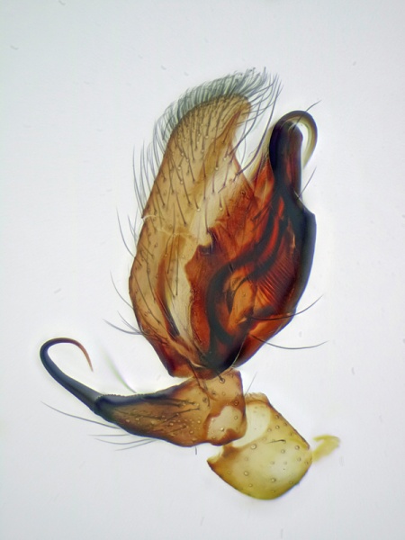 Datei:2019-04-17 12-30-57 (C).jpg