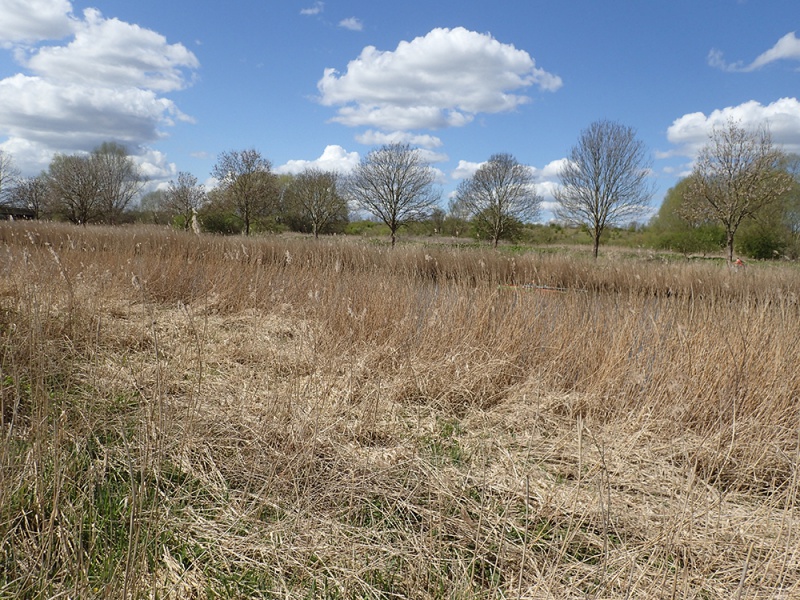 Datei:Traveufer Genin.jpg