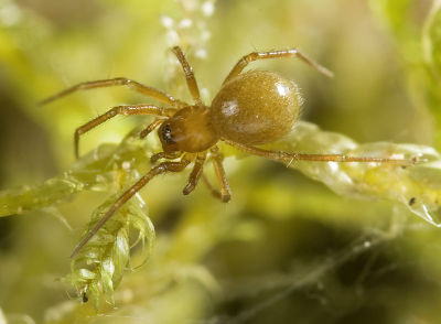 Saaristoa-firma MuenchenT 10-03 04.jpg