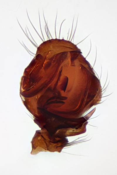 Datei:20191115-2019-11-15-11.37.26 ZS PMax-Bearbeitet.jpg