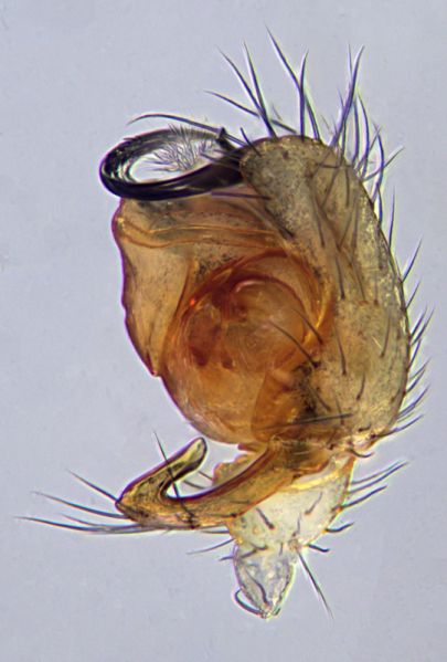 Datei:2021-01-22 12-21-07bea.jpg