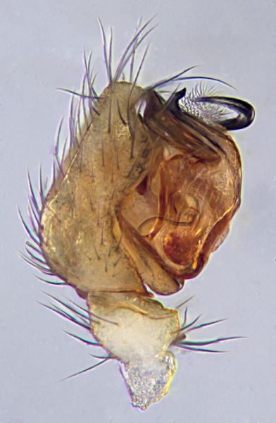 Datei:2021-01-22 12-14-54bea.jpg