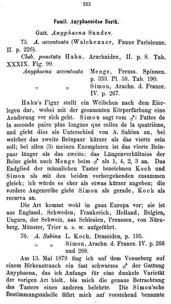 Datei:BertkauAnyphaenaSabina1.jpg