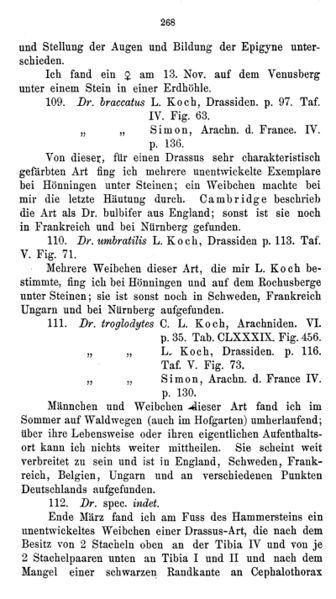 Datei:BertkauMyogaster Page 2.jpg