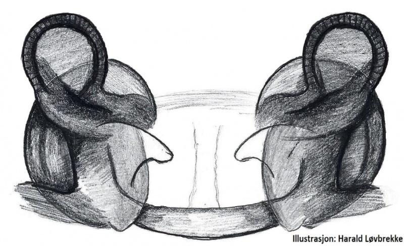 Datei:Hylyphantes graminicola vulva do HLovbrekke.jpg