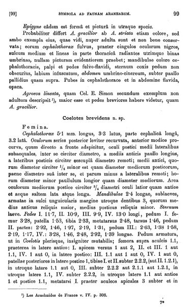 Datei:KulcGraciliorText2.jpg