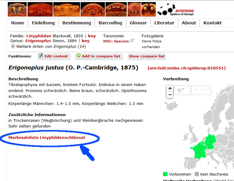 Datei:UnibernLink.png